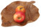 GURU SHOP Obstschale aus Holz, Geschnitzte Obstschale, Holzschale, Holzteller - Blatt, Braun, 7x37x25 cm, Schalen