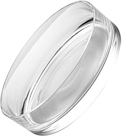 Gatuida Klarer Glasblumentopf Dekorativer Hydrokultur Vase für Wasserpflanzen Hochwertiges Langlebiges für Glücksbambus Stilvolle Tischdekoration