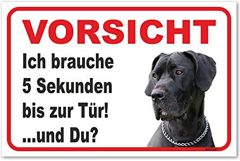AdriLeo Schild - Vorsicht Deutsche Dogge - 5 Sekunden - (15x20cm) / Graues Fell Achtung Hund Wachhund