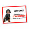 Dobermann Freilaufender Hund Dog Schild Spruch Türschild Hundeschild Warnschild Geschenkidee Sicherheitsschild Hund Privatgrundstück Hundewarnung Warnung vor dem Hund