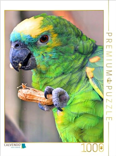 CALVENDO Puzzle Blaustirnamazone knabbert eine Erdnuss | 1000 Teile Lege-Größe 64 x 48 cm Foto-Puzzle für glückliche Stunden