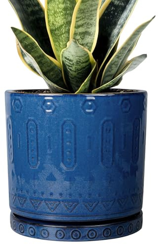 Eightpot 6 Inch Plant Pot - Ceramic Planter for Outdoor Plants Indoor Plant Pot with Drainage Holes and Saucer Succulent Pot Modern Round Flower Pot for House Room Decor Blue