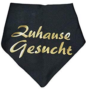 Hundehalstuch Zuhause gesucht