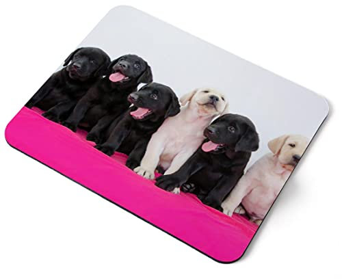 Computer Mouse Mat Pad - Labrador Puppies Puppy Dog Home Office PC Desk Accessory Flexible Fabric Top Large 5mm Laptop Desktop Printed Art Ergonomic #2691