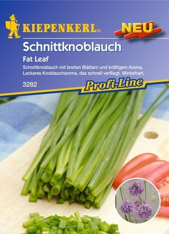Schnitt-Knoblauch 'Fat Leaf'