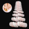 120 Pièces Faux Ongles D'orteil, Capsules Ongles DIY Mode orteils Art Tips du Pied, Faux Ongles de Pied en 12 Tailles pour Salons