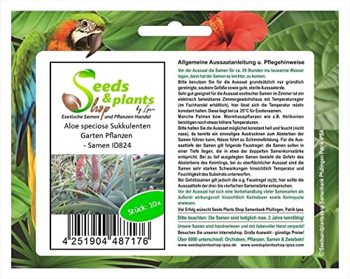 Stk - 10x Aloe speciosa Sukkulenten Garten Pflanzen - Samen ID824 - Seeds & Plants Shop by Ipsa