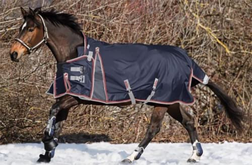 BNALU Verdicken Abschwitzdecke fürs Pferd ist atmungsaktiv Transportdecke Weidedecke Winterdecke Winterbaumwolle Weich und warm Reitausrüstung Outdoordecke (Size:145CM)