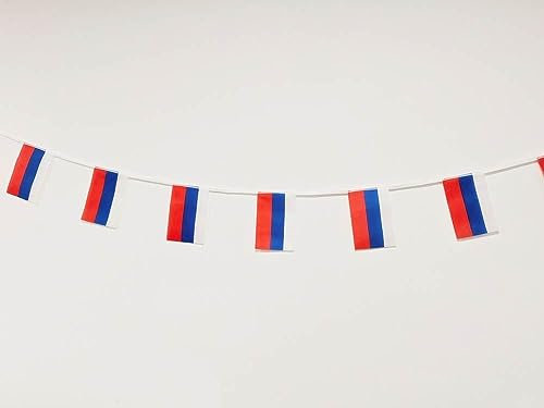 Bandera de Rusia 40 unidades bandera de Rusia, guirnalda Rusia 11.4M, banderines Rusia, bandera Nacional Banderas Europeas 14 x 21 cm para Decoraciones de Bares de Jardín (Rusia)