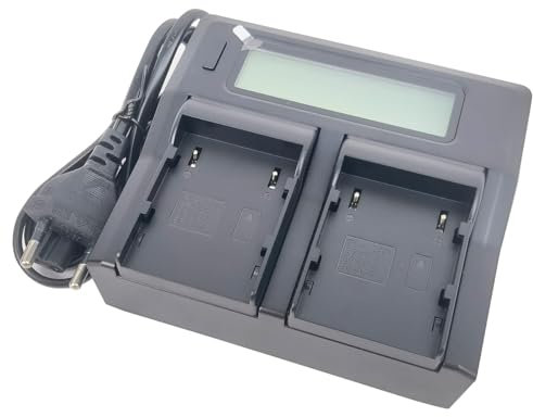 Quick LCD-Display Batterie Chargeur pour Canon BP-A30 BP-A60 BP-A65 BP-A90 CG-A10 CG-A20 EOS C200 C200B C220B; C300 C500 Mark II/III C70 C700 Camera XF605 XF705