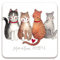 CUTE FUN CARTOON CAT FRIDGE MAGNETS BY ALEX CLARK (Marvellous Moggies)