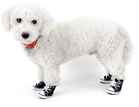 Hundeschuhe aus Jeans-Segeltuch von Zunea, zum Schnüren, Sneakers, für Spaziergänge im Sommer, rutschfest, sportlich, lässig, Pfotenschutz, für Chihuahuas
