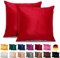 Emilie-Textil 2er Set SAMT Kissenbezug, Decorative Kissenhülle, Sofakissenbezug mit Verstecktem Reißverschluss, 14, Größen 40X40 / 45X45 / 50X50cm (2, Rot, 40X40)