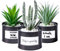 Odezza Lot de 3 plantes artificielles en pot,10x16 cm,Noir,Décoration,Petites plantes artificielles,Pour la décoration du salon, de la salle de bain, du balcon,Mini plantes artificielles