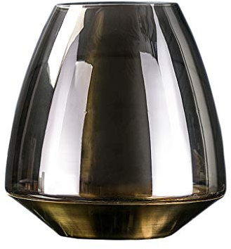 CONGRUI Vase, transparente Glasdekoration, modern, minimalistisch, Wohnzimmer, kreatives Blumenarrangement, Ornament (10,6 x 20 cm)