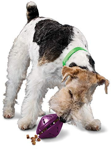 PetSafe Busy Buddy Twist 'n Treat, Hundespielzeug mit Leckerli-Spender, Größe M