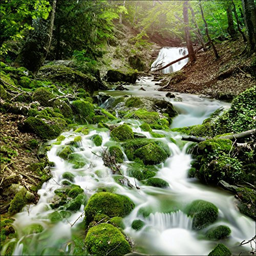 Pro-Art-Bilderpalette gla985d Mystic Ways Cadre Mural en Verre Motif ruisseau/sous-Bois Dimensions 20 x 20 cm