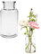 12 x Glasflaschen - Dekoglas - Apothekerflaschen - Deko-Glas Glasvasen Vasen Dekoflaschen Fläschchen Gewürzgläser (12 Glasflaschen H 12,5 cm)