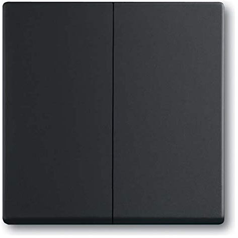 Busch-Jaeger 6736 FoH-885 Wippe, dynastie Busch, Zigbee Friends of Hue, schwarz mat (2CKA006730A0141)