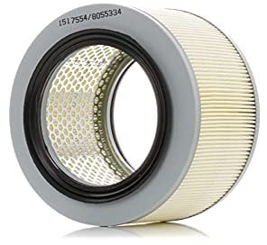 RIDEX 8A0327 Filtro aria motore cilindrico Cartuccia filtro