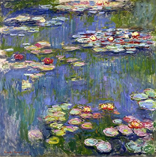 DTAUPREB Peinture par numéros Kits pour adultes Claude Monet Nénuphars Kits de peinture à l'huile de bricolage Nymphéas Peinture par numéro Dessin sur toile Art Décoration d'intérieur Cadeaux