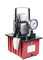 Pompa idraulica elettrica 220 V, valvola manuale, 750 W, pressione di esercizio 290-10152PSI, adatta per vari dispositivi idraulici, massimizza l'efficienza di lavoro