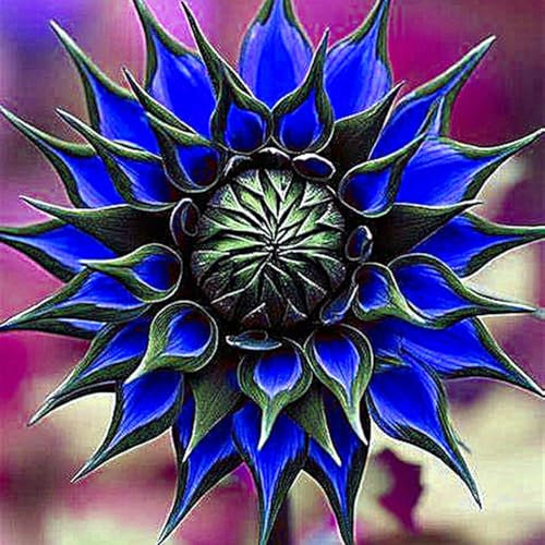 Dahlien Zwiebeln,Winterharte MehrjäHrig,Dekorative blumen,Dalienknollen Winterfest bienenfreunlich,Schnittblumen,Dahlien knollen winterhart,seltene pflanzen,Dahlien kaufen.-2 zwiebeln-B