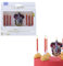 PME Harry Potter Geburtstag Kerzen 7er-set, Gryffindor