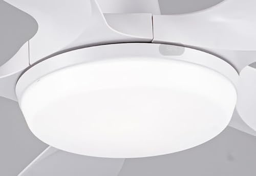 Newday 1162 ceiling fan LED