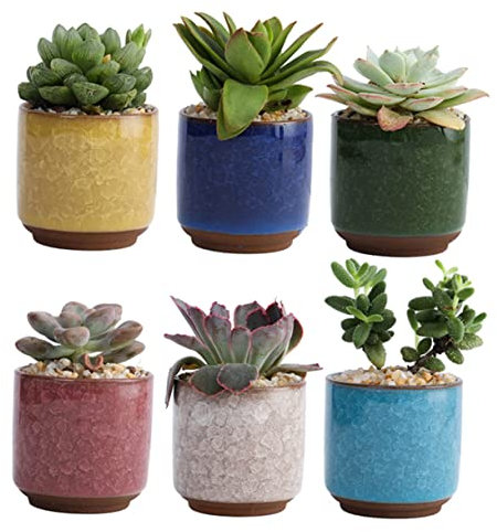 Yardenfun Lot De 6 Petits Pots De Fleurs Dintérieur en Céramique avec Drainage pour Décoration Intérieure Gris Clair