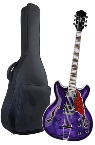 Chitarre Elettriche Adulti Chitarra Elettrica A Corpo Cavo In Acero Viola 6 Corde(Purple)