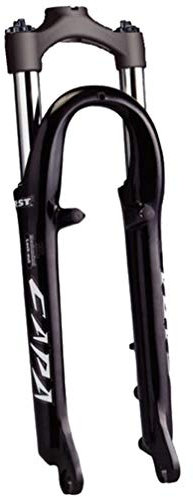 RST Capa-T Federgabel 66 cm (26 Zoll) Radstiele, 3,8 cm (1 1/18 Zoll)