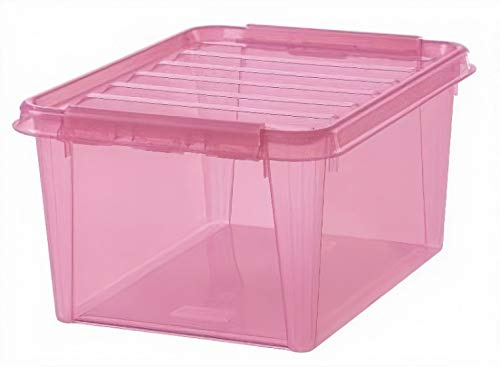 SmartStore Box 31 Rose, One Size