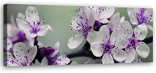 Feeby Wandbild Kirschblüten Druckbild Leinwandbild Natur Violett 120x40 cm