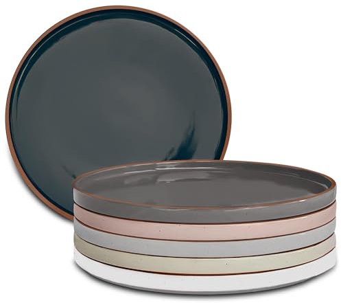 Mora Juego de platos planos de cerámica (6 unidades, 10.5 pulgadas, apto para microondas, horno y lavavajillas, resistente a los arañazos, vajilla moderna, platos de porcelana de cocina, varios