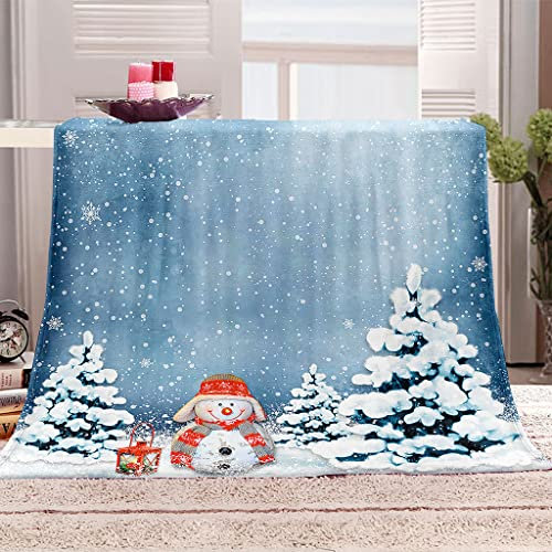 ENEN Personalisierte Decke Kuscheldecke Flauschig Decken für Sofa Warm Flanell Kuscheldecke für Mama, Papa, Kind Oder Freund (180x200cm,Schnee)