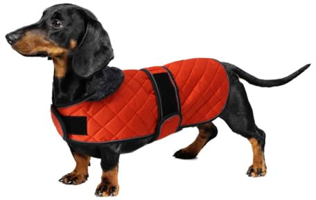 Geyecete - Warmer wintermantel für dackel Hunde,Hunde Winterjacken mit plüschfutter,Outdoor jacken mit verstellbaren gürtel und Kabelbaumloch,für mittelgroße und Kleiner dackel-Orange-L