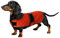 Geyecete - Warmer wintermantel für dackel Hunde,Hunde Winterjacken mit plüschfutter,Outdoor jacken mit verstellbaren gürtel und Kabelbaumloch,für mittelgroße und Kleiner dackel-Orange-L