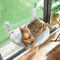 CATISM Hamaca Gato Ventana, 50x36.5cm Plegable Semicircular Cama Ventana para Gatos, Hamaca Gato con Ventosa Estables, Gris