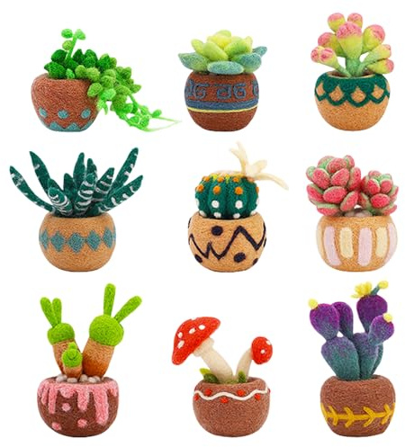 Gobesty Needle Felting Kits for Adults, 9PCS Succulent Needle Felting Starter Kit with Felt Tools and Supplies and Instruction, Wool Felting Kit for Craft Lovers Beginners DIY Felting Craft Project