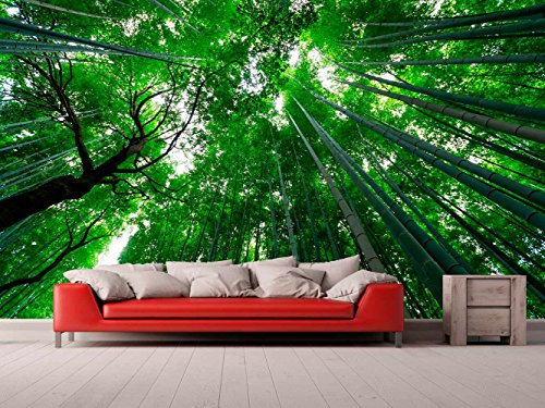Fotomural Vinilo Pared Vista Fugada Bambú | Fotomural para Paredes | Mural | Vinilo Decorativo | Varias Medidas 150 x 100 cm | Decoración comedores, Salones, Habitaciones.