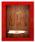 Holzbeize Möbelbeize Trockenbeize Beize Pulverbeize f. 2-3m² große Farbauswahl, Farbe:rot