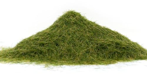YAPKOLV 30 g/Beutel Statisches Graspulver Moos Kunstrasenpflanzen, loses Gras Wiesen, Modellbahn-Gras, Modellbau-Gras (wintergrün)