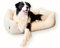 4L Textil Mario Wasserfestes Hundebett Kunstleder Hundekorb aus Kunstleder Hundebett große und mittelgroße Hunde Hundesofa XXL (120x90 cm, Beige)