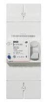 Legrand 401005 Disjoncteur de Branchement Enedis Bipolaire Différentiel, 500mA Sélectif, 90A