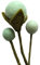 your castle Filzblumen handgemachte Dekoblumen für individuelle Kreationen, nachhaltiges Geschenk, fairer Handel, realistische Kunstblumen, 3 Stück in hellem Mint