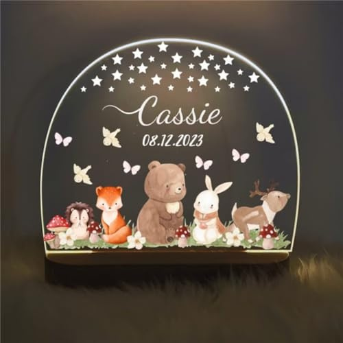 EIMOPE Personalisiertes Nachtlicht für Kinder, 3D LED Lampe Nachtlicht für Kinder Arcyl Nachtlampe Personalisiert mit Name, Geschenk für Baby mädchen junge Geburtstag Weihnacht