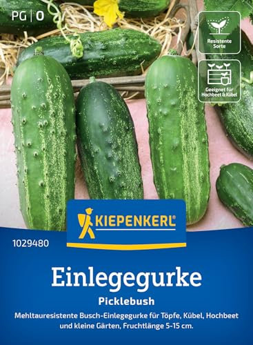 Kiepenkerl Einlegegurkensamen Picklebush 1029480 - Kompakter Wuchs für Töpfe, Kübel & Hochbeete, Gurkensamen für kleine Gärten, resistente Gemüsesamen