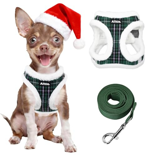 AIITLE Weihnachts-Step-in-Plüschgeschirr mit Leine Winter, Grün XXXS | Karomuster, weich & warm, reflektierend, zugfrei, sicher mit Klettverschluss, verstellbar für sehr kleine Hunde – Spaziergang