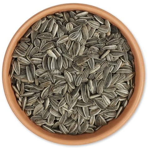 Gifts4Nature Gestreifte Sonnenblumenkerne 20kg – Vogelfutter Wildvögel ganzjährig – Premium Vogelfutter für Gartenvögel – Dünne Schale, Europäischer Anbau